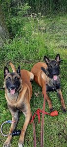 275258226 1113526352535090 5349851503460278821 n 1