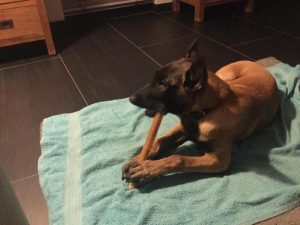 275435883 5666364350047057 8512482880491495289 n