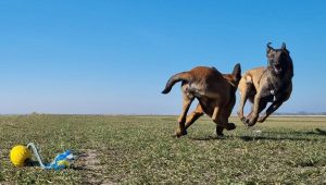 275441565 1426450247789204 1236609674905948153 n