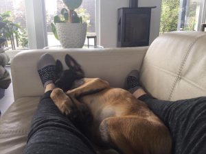 275444857 5673792975970861 4774842476136073453 n