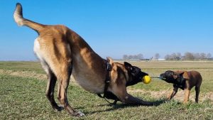 275557431 1426450124455883 6077036306472876206 n