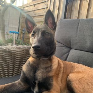 275606167 10226554875207913 4288886178463384615 n