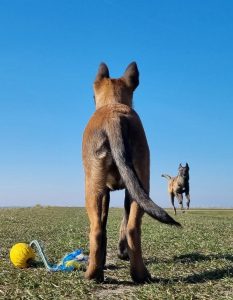 275691315 1426450271122535 5664919939276653173 n