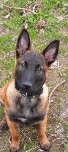 275849935 1059525447935181 6269170285238309083 n