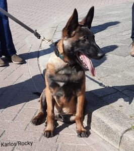 276129861 5513606432002789 7838222343326366780 n