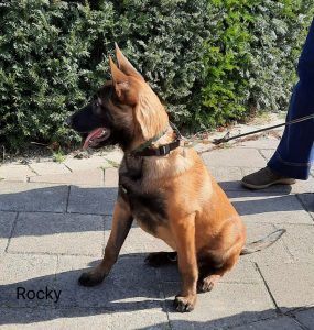 276174958 5513606952002737 657047723555103504 n