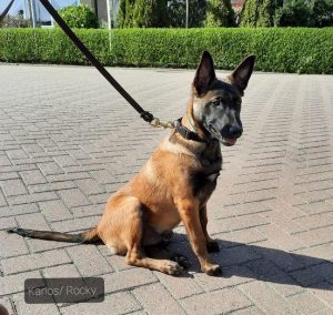 276303164 5513605922002840 5965863535190374394 n