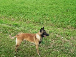 276972704 1310871719434266 1848753618087596171 n