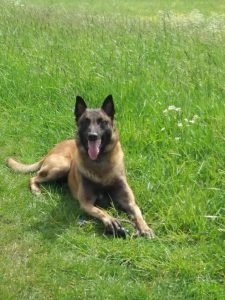 276999532 263980202607001 2948167758986330297 n