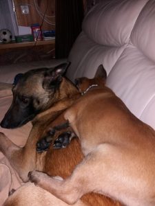 277062560 547953199885741 7160232282324914633 n