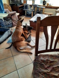 277080586 1087919978607062 5618671873332161755 n