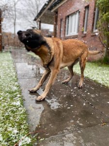 277105189 5019963294790468 4434906824889071401 n