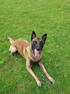 277110990 342274731297770 5267084930168541103 n