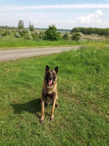 277117135 4901866549900492 5133315848725776002 n