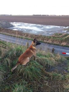 277146834 2874748749491803 6020133607296788874 n