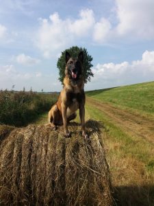 277167058 282056007412828 8075377984191463741 n