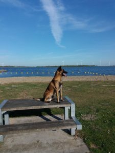 277189646 1295251654333529 1367256270333106824 n