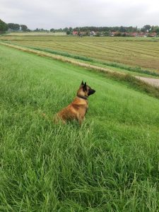 277217904 2898004603831751 7750416754862757783 n