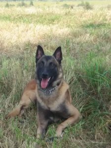 277232767 409655740926746 1883508534528978374 n