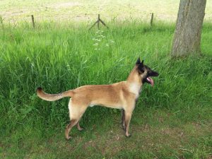 277293060 2826889950948723 6351549527991583365 n