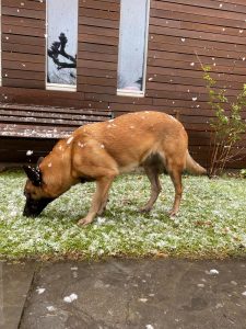 277309312 5019963361457128 463018784618043353 n