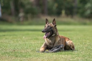 277311579 4886101008173187 5681320979945264858 n