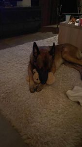 277801252 507063994278779 4386310521979078257 n