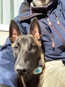 278355068 10226755069612648 1088918196536756130 n