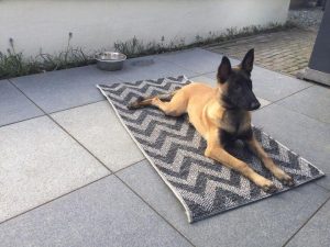 278392776 5785674644782693 7468240266421632271 n