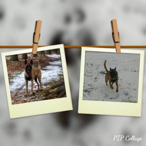 27858669 1197070227089544 2182116130723399034 n