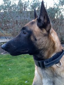 27868078 1193913194071914 2072425909857614348 n