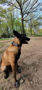 278895142 4991575740934679 8852112330021965074 n