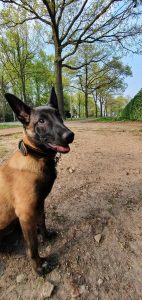 279135963 4991575827601337 1063555659006337769 n 1