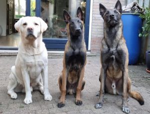 280511131 1469929456774616 22513408752483305 n 1