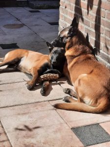 280533655 1098224570731935 2216646067362071401 n