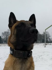 28059069 1197086457087921 626242899566096901 n