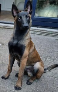 280667632 1469929433441285 405619831924677173 n