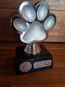 280935155 3197305877193325 1825859207031920648 n