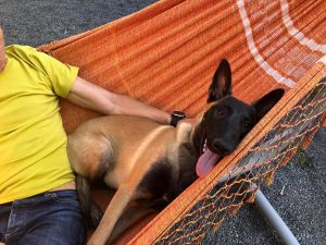 281241417 5851162724900551 329742576356332028 n