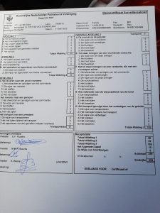 281260738 1101641390390253 5688482508143162895 n