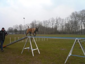 28152 287735254692789 842724011 n