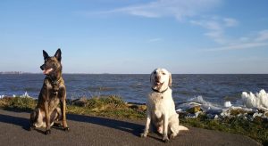 28164910 437210623379843 5484249363680043910 o