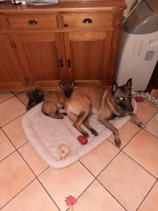 281691586 1098224534065272 1997613436765555284 n