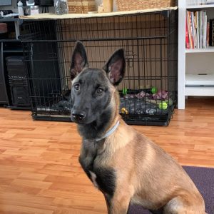 281738719 10226936627471481 3460893021615014657 n