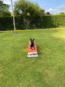 282253777 2600172806782344 1318704448308585509 n