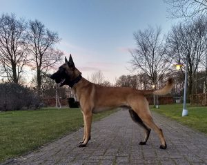 28235486 1202640683199165 2171439500061518784 o