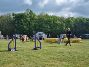 282624879 3199362760320970 8108984746995686322 n