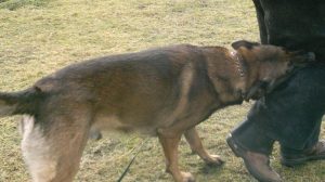 282655 474506982597252 1032122757 n