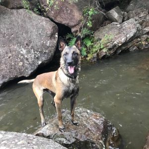 28378766 2108927299329239 839399314610799860 n