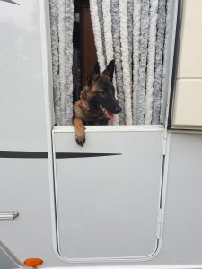 283928783 5125700844203619 6323119948522201744 n 1